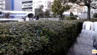 【推特网黄】短发母狗【YLdogwt】乳汁3P深渊巨穴尿脸狗链调教